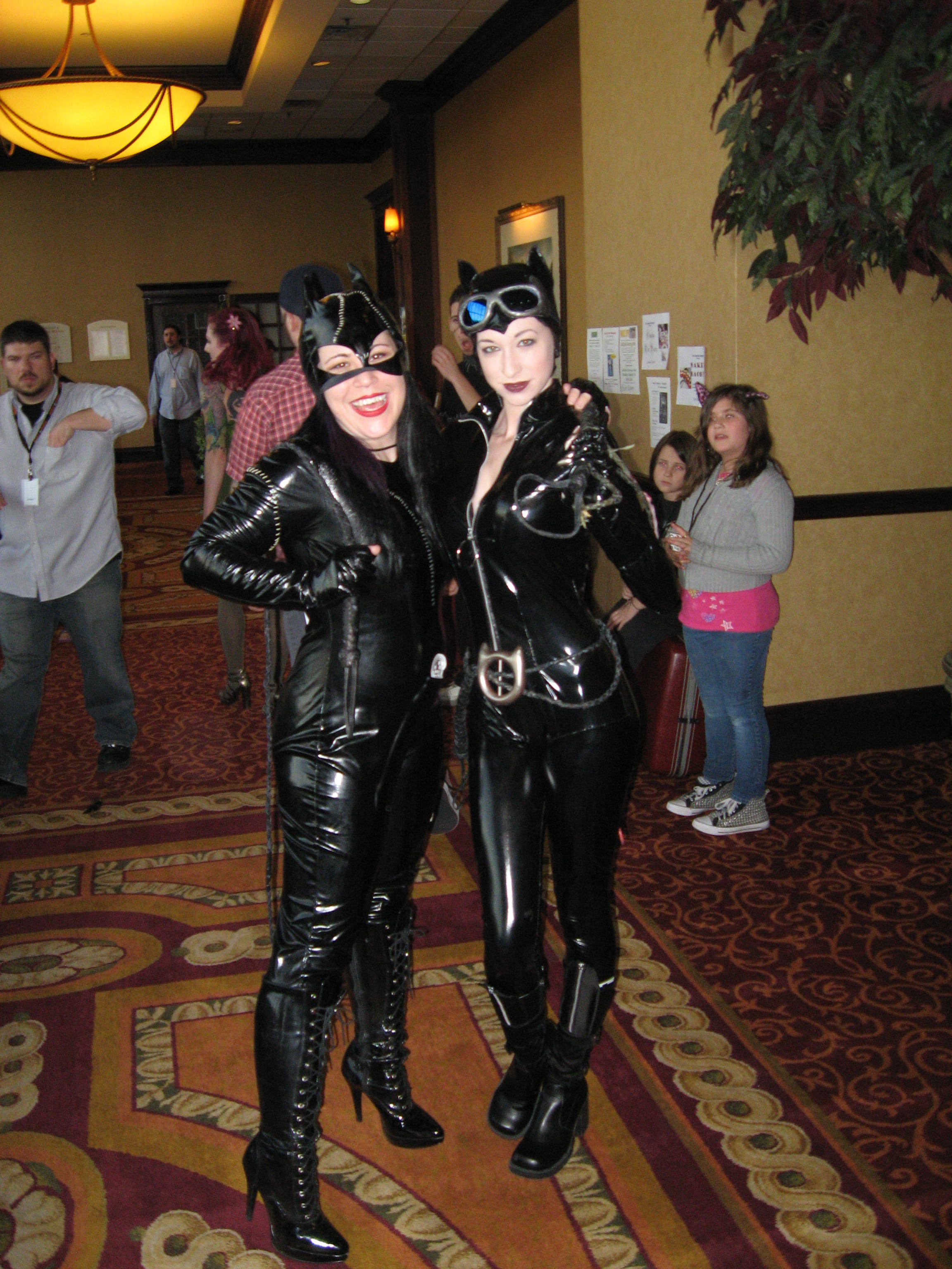 Cat and Cat_4433235460_o.jpg