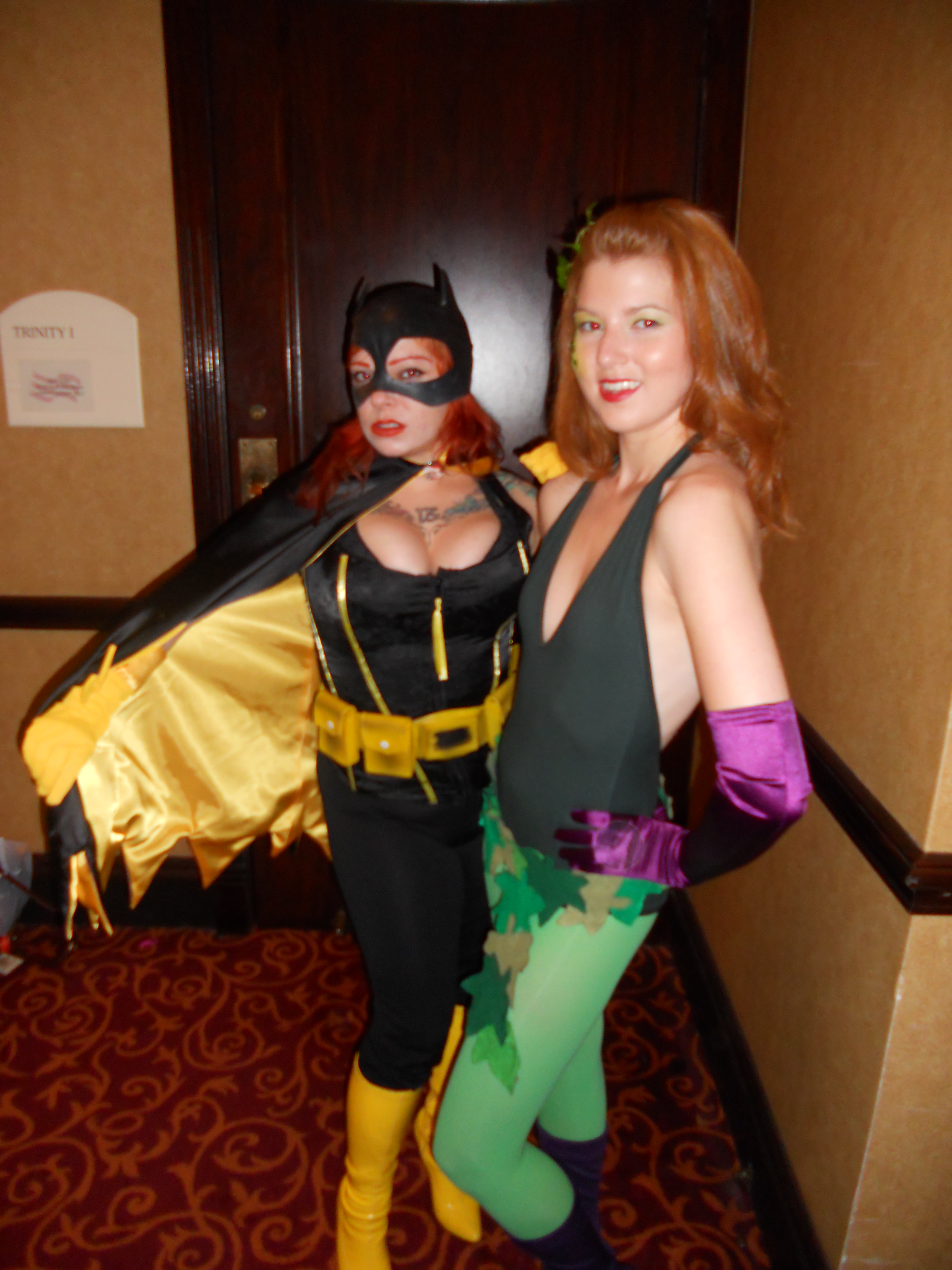 Batgirl & Ivy_5753746380_o.jpg